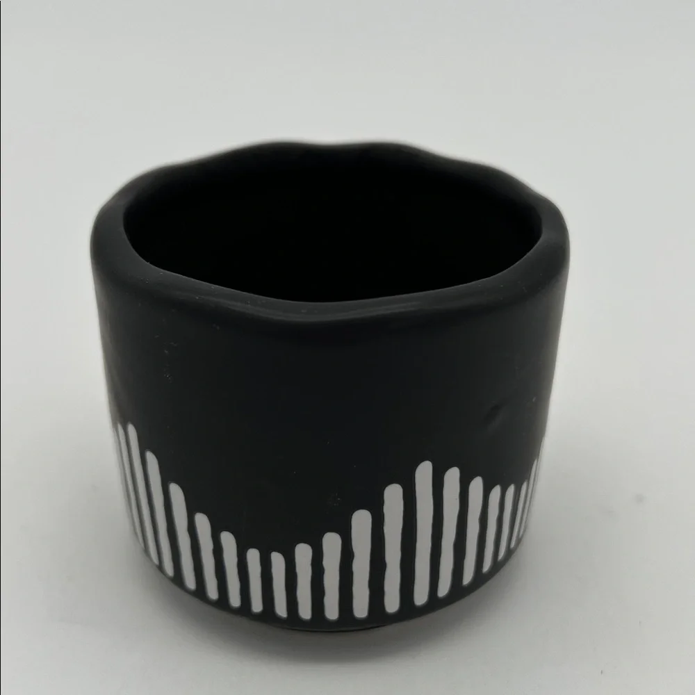 Black and White Ceramic Succulent Planter